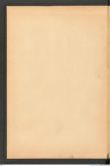 k.k. naturhistorisches Hofmuseum, Protokollbuch Intendanzakten 1900, Seite 2